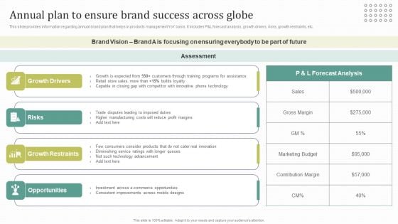 Instructions For Brand Performance Management Team Annual Plan To Ensure Brand Success Across Globe Background PDF