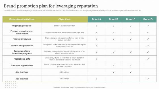 Instructions For Brand Performance Management Team Brand Promotion Plan For Leveraging Reputation Ideas PDF