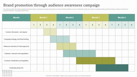 Instructions For Brand Performance Management Team Brand Promotion Through Audience Microsoft PDF