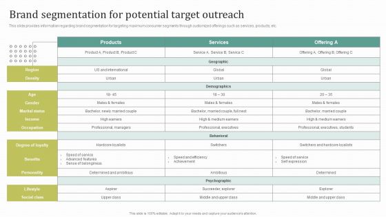 Instructions For Brand Performance Management Team Brand Segmentation For Potential Target Outreach Template PDF
