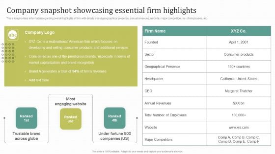 Instructions For Brand Performance Management Team Company Snapshot Showcasing Essential Pictures PDF