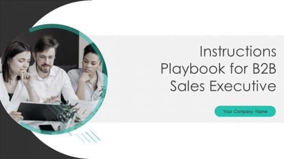Instructions Playbook For B2B Sales Executive Ppt PowerPoint Presentation Complete Deck With Slides