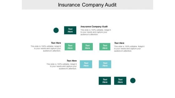 Insurance Company Audit Ppt Powerpoint Presentation Ideas Graphics Tutorials Cpb
