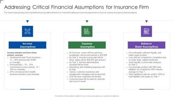 Insurance Company Business Plan Addressing Critical Financial Assumptions Guidelines PDF