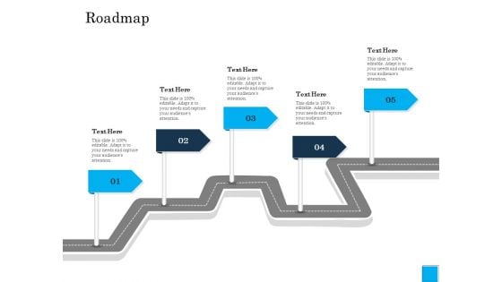 Insurance Organization Pitch Deck To Raise Money Roadmap Slides PDF