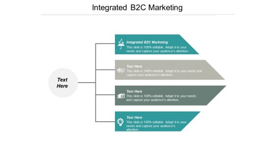 Integrated B2C Marketing Ppt PowerPoint Presentation File Demonstration Cpb