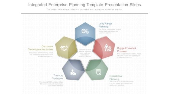 Integrated Enterprise Planning Template Presentation Slides