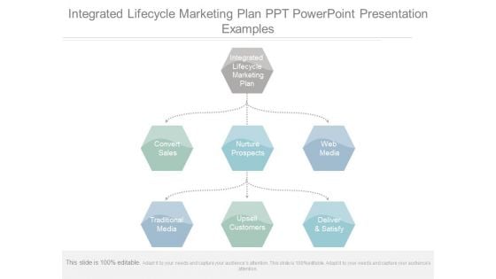 Integrated Lifecycle Marketing Plan Ppt Powerpoint Presentation Examples