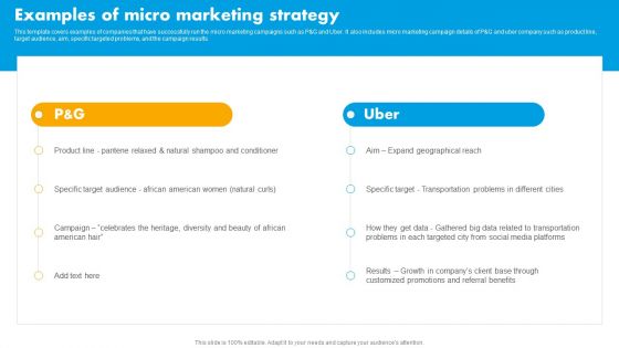 Integrating Effective Target Marketing Tactics Examples Of Micro Marketing Strategy Diagrams PDF