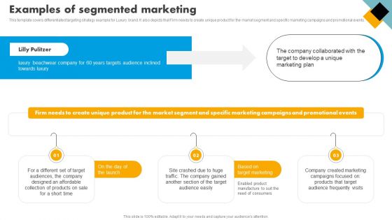 Integrating Effective Target Marketing Tactics Examples Of Segmented Marketing Themes PDF