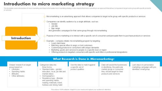 Integrating Effective Target Marketing Tactics Introduction To Micro Marketing Strategy Themes PDF