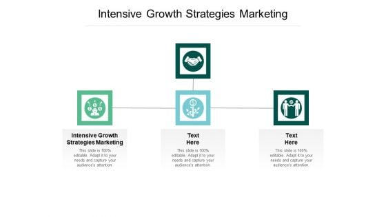 Intensive Growth Strategies Marketing Ppt PowerPoint Presentation Show Slide Cpb