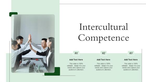 Intercultural Competence PowerPoint Presentation PPT Template PDF