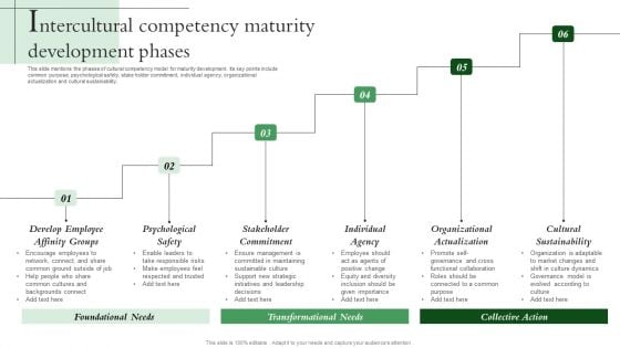 Intercultural Competency Maturity Development Phases Themes PDF