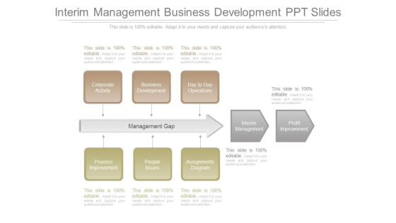 Interim Management Business Development Ppt Slides