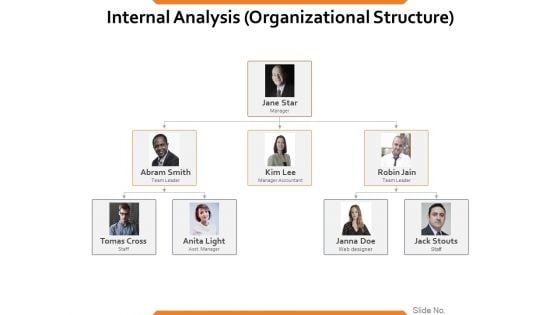 Internal Analysis Organizational Structure Ppt PowerPoint Presentation Infographic Template Clipart