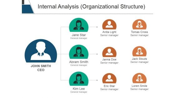 Internal Analysis Organizational Structure Ppt PowerPoint Presentation Model Slides