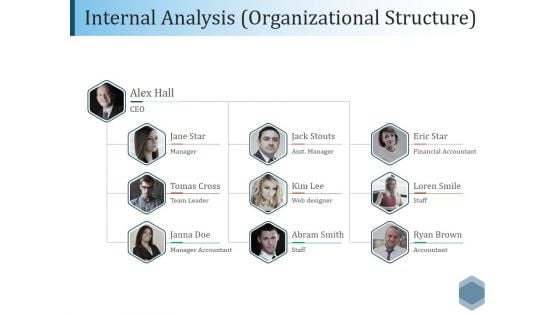 Internal Analysis Organizational Structure Ppt PowerPoint Presentation Professional Layouts