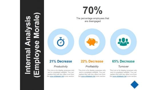 Internal Analysis Ppt PowerPoint Presentation Icon Outline