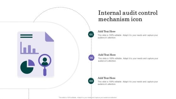 Internal Audit Control Mechanism Icon Elements PDF