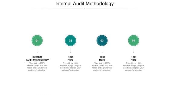 Internal Audit Methodology Ppt PowerPoint Presentation Show Graphics Example Cpb