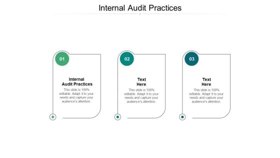 Internal Audit Practices Ppt PowerPoint Presentation Portfolio Smartart Cpb