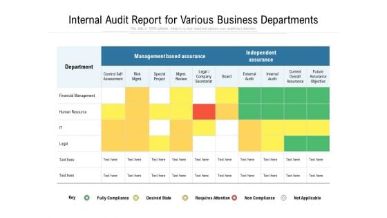 Internal Audit Report For Various Business Departments Ppt PowerPoint Presentation Professional Layout PDF