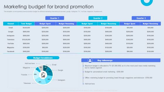 Internal Brand Launch Plan Marketing Budget For Brand Promotion Summary PDF
