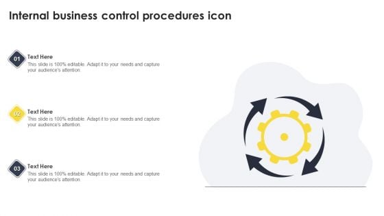 Internal Business Control Procedures Icon Elements PDF