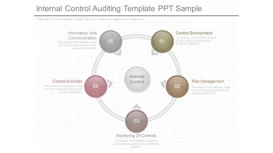 Internal Control Auditing Template Ppt Sample