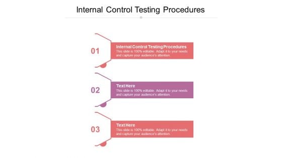 Internal Control Testing Procedures Ppt PowerPoint Presentation Professional Introduction Cpb