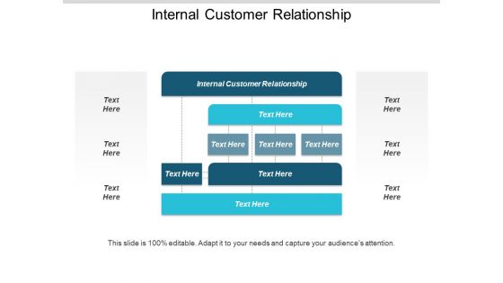 Internal Customer Relationship Ppt PowerPoint Presentation Outline Background Designs Cpb