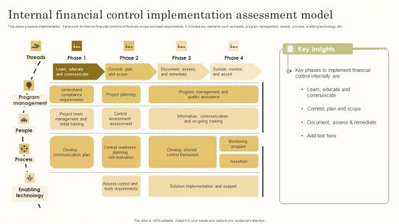 Internal Financial Control Implementation Assessment Model Elements PDF