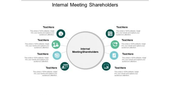 Internal Meeting Shareholders Ppt PowerPoint Presentation Professional Infographic Template Cpb