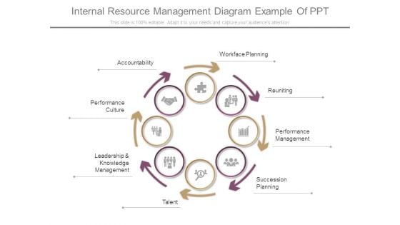 Internal Resource Management Diagram Example Of Ppt