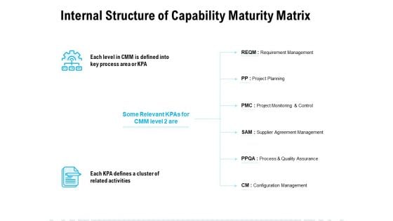 Internal Structure Of Capability Maturity Matrix Ppt PowerPoint Presentation File Background Designs