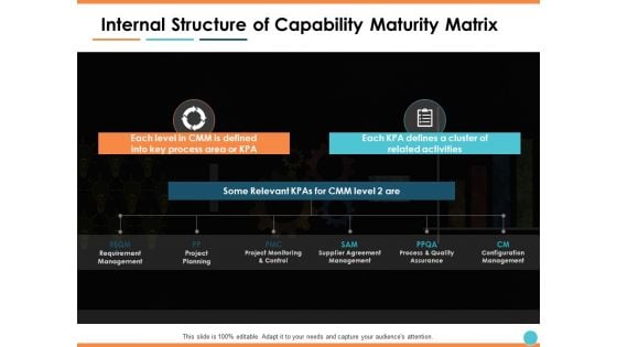 Internal Structure Of Capability Maturity Matrix Ppt PowerPoint Presentation Professional Designs Download