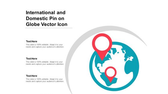 International And Domestic Pin On Globe Vector Icon Ppt PowerPoint Presentation File Graphics Tutorials PDF