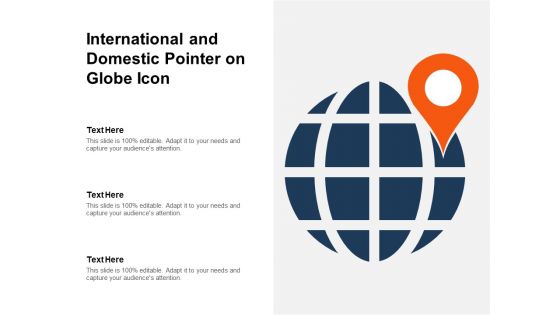 International And Domestic Pointer On Globe Icon Ppt PowerPoint Presentation Summary Layout PDF