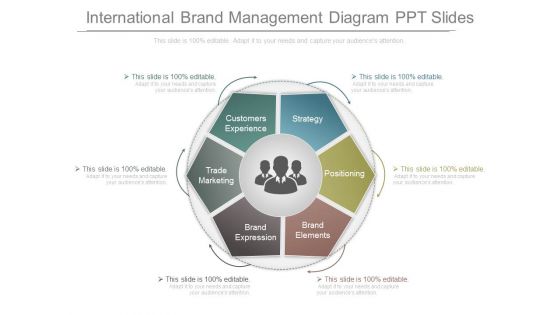 International Brand Management Diagram Ppt Slides