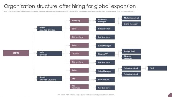 International Business Extension Organization Structure After Hiring For Global Expansion Inspiration PDF