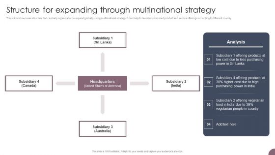 International Business Extension Structure For Expanding Through Multinational Strategy Sample PDF