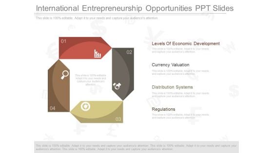 International Entrepreneurship Opportunities Ppt Slides