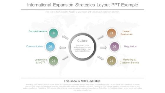 International Expansion Strategies Layout Ppt Example International Expansion Strategies Layout Ppt Example