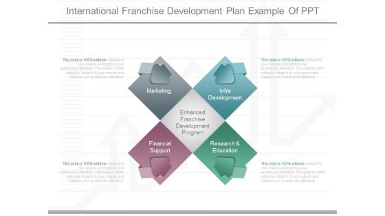 International Franchise Development Plan Example Of Ppt