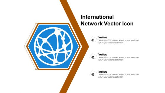 International Network Vector Icon Ppt PowerPoint Presentation Summary Graphics Tutorials PDF