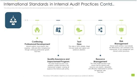 International Standards In Internal Audit Practices Contd Ppt Icon File Formats PDF