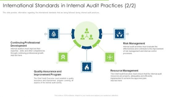 International Standards In Internal Audit Practices Program Download PDF