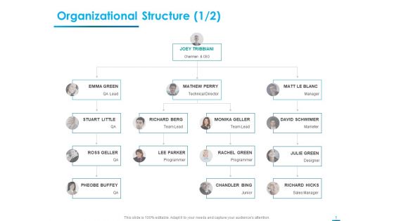 Internet Economy Organizational Structure Marketer Ppt Styles Gallery PDF