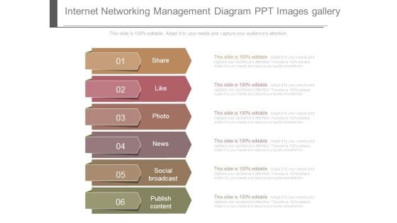 Internet Networking Management Diagram Ppt Images Gallery